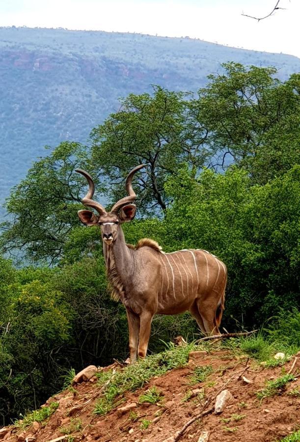 莱登堡66 Sharalumbi Wildlife Estate公寓 外观 照片