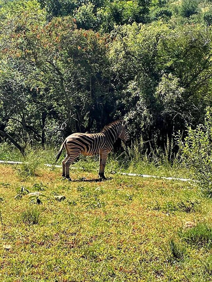 莱登堡66 Sharalumbi Wildlife Estate公寓 外观 照片