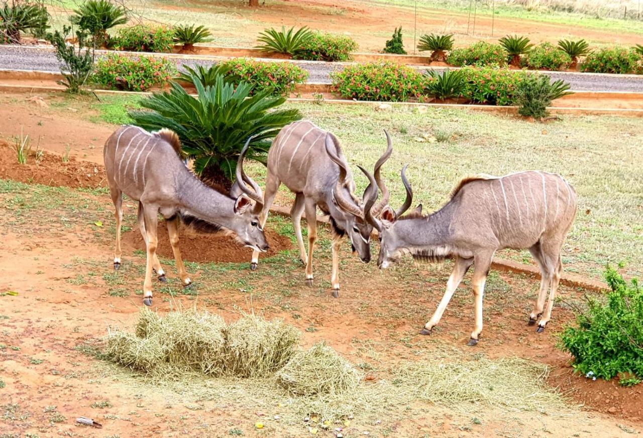 莱登堡66 Sharalumbi Wildlife Estate公寓 外观 照片