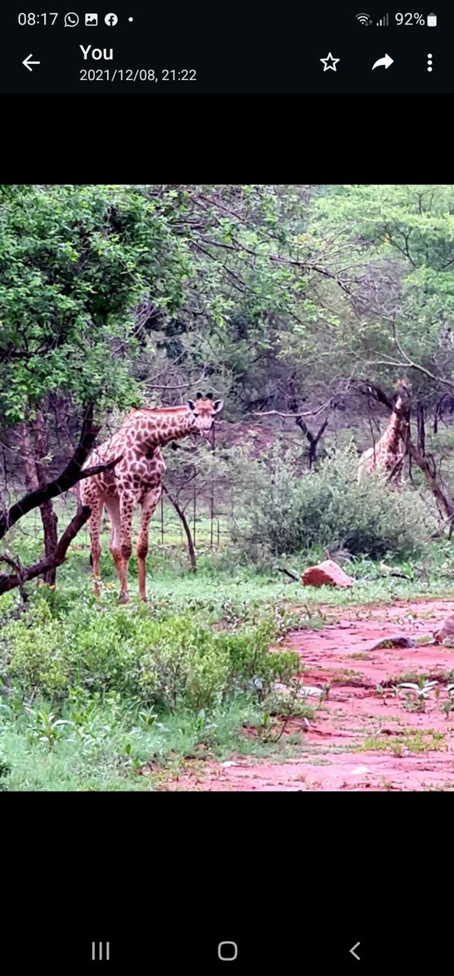 莱登堡66 Sharalumbi Wildlife Estate公寓 客房 照片